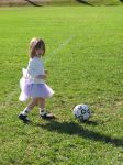 The Soccer Fairy