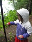 Rainy Walden Pond Hike