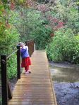 Rainy Walden Pond Hike